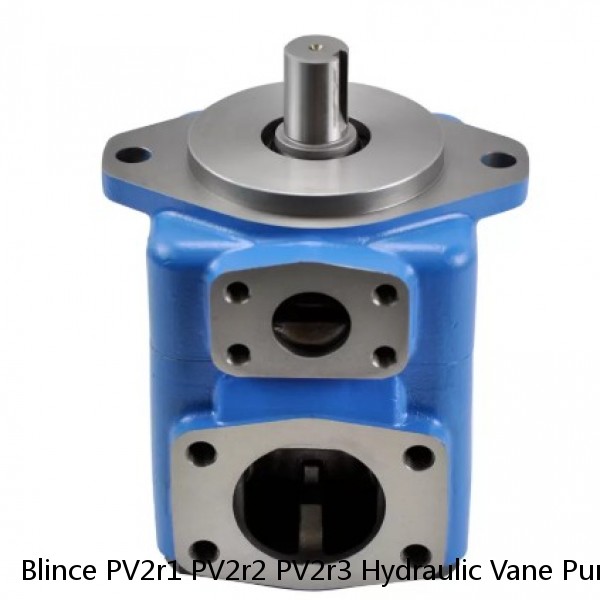 Blince PV2r1 PV2r2 PV2r3 Hydraulic Vane Pump #1 image